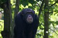Zoo Straubing_039